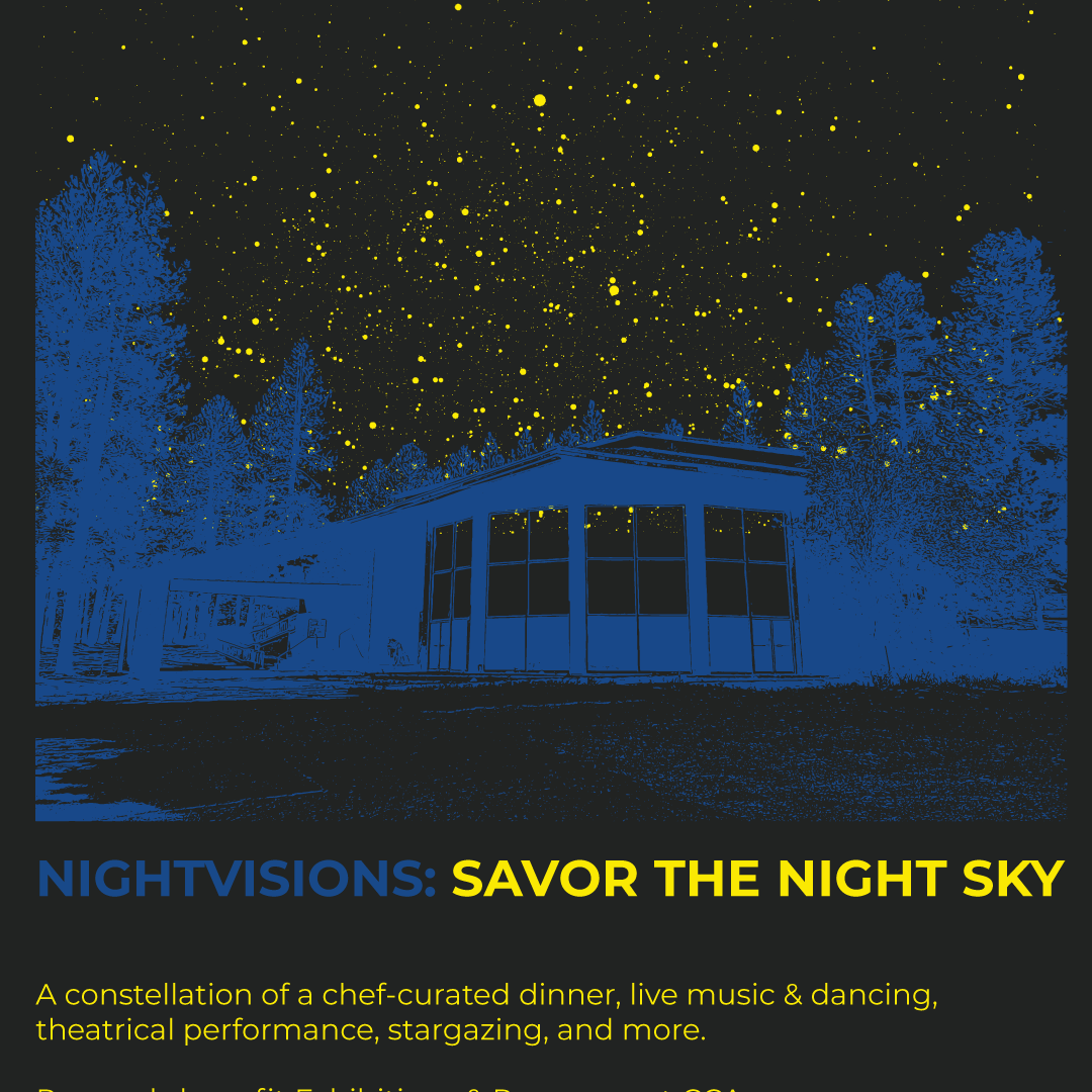 NightVisions: Savor the Night Sky - logo